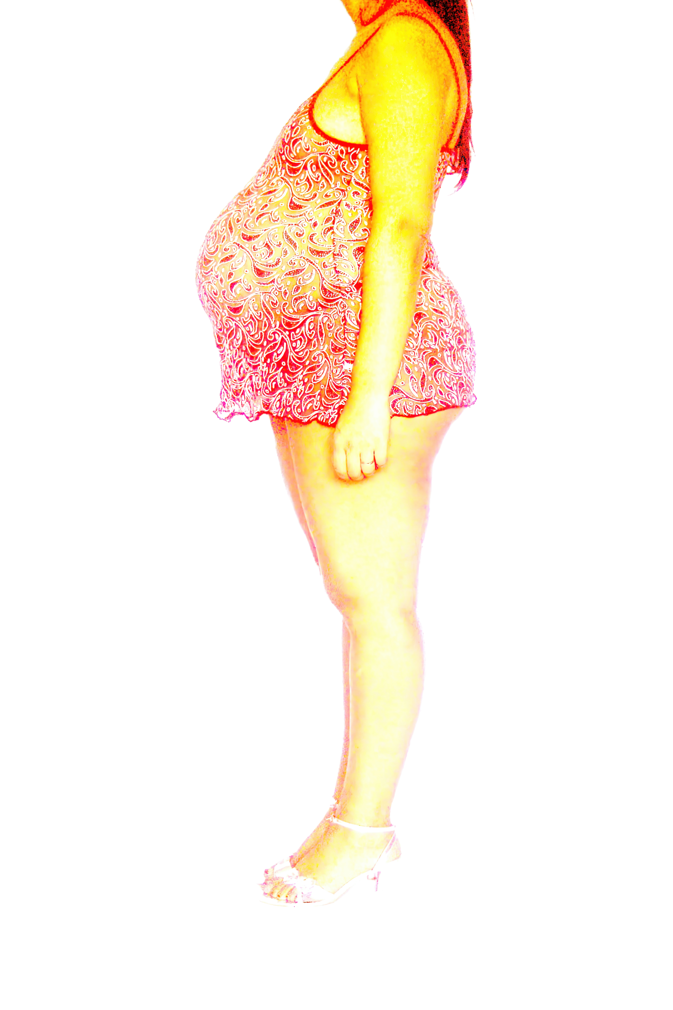 Le Corps Pansant - 2009